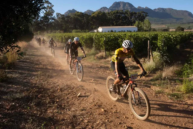 Riders cycle past vineyards during the first stage of the 2022 Cape Epic mountain bike stage race in the mountains above Somerset West, about 60km from Cape Town, on March 21, 2022. This stage is is 92km long with 2850m of climbing. The Cape Epic, in which two riders race as a team, is widely known as the foremost mountain bike stage race in the world, with the riders covering a distance 681 kilometres, and climbing 16900m in height over eight days of racing. (Photo by Rodger Bosch/AFP Photo)