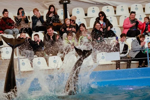 Ukrainian families, who have fled Kherson amid the Russian invasion, watch a dolphin show at a hotel, in Odesa, Ukraine on April 9, 2022. (Photo by Ueslei Marcelino/Reuters)