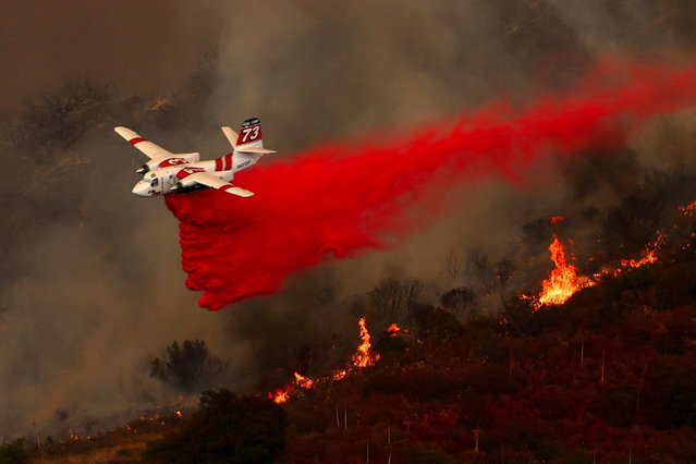 An aerial tanker combats the Airport Fire, a wildfire burning in the hills of Orange County, California on September 9, 2024. (Photo by Mike Blake/Reuters)