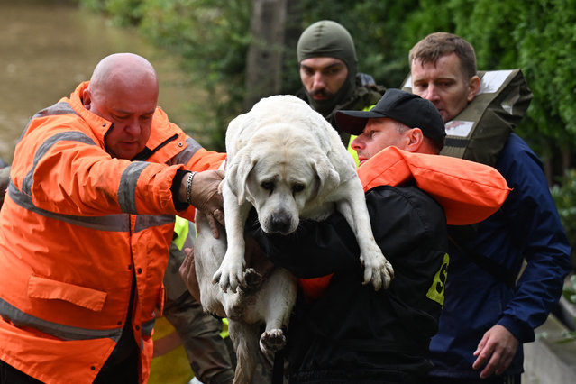 Polish rescuers and soldiers evacuate local residents and their dog in the village of Rudawa, southern Poland, on September 15, 2024. One person has drowned in Poland and an Austrian fireman has died responding to floods, authorities said, as Storm Boris lashed central and eastern Europe with torrential rains. Since Thursday, September 12, 2024, swathes of Austria, the Czech Republic, Hungary, Romania and Slovakia have been hit by high winds and unusually fierce rainfall. The storm had already caused the death of five people in Romania, and thousands have been evacuated from their homes across the continent. (Photo by Sergei Gapon/AFP Photo)