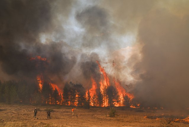 Flame rises as firefighters effort to extinguish a fire that started in a grassy area of the Kizilcahamam district in Ankara and has since spread to a forest area in the Gerede district of Bolu as efforts to extinguish the blaze are ongoing in Ankara, Turkiye on August 21, 2024. (Photo by Osmancan Gurdogan/Anadolu via Getty Images)