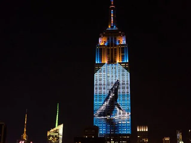 Empire State Building Brings Endangered Animals