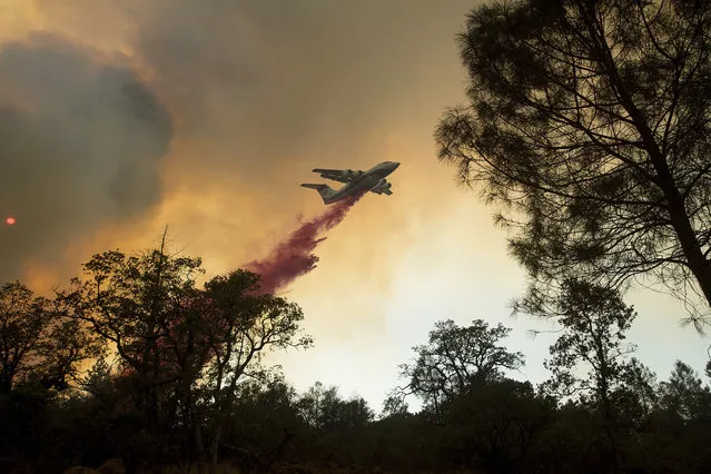 A plane drops retardant while battling a wildfire near Oroville, Calif., on Saturday, July 8, 2017. The fast-moving wildfire in the Sierra Nevada foothills destroyed structures, including homes, and led to several minor injuries, fire officials said Saturday as blazes threatened homes around California during a heat wave. (Photo by Noah Berger/AP Photo)