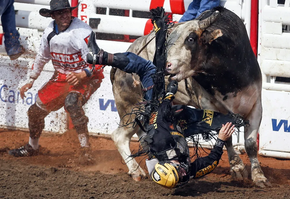 Calgary Stampede 2017