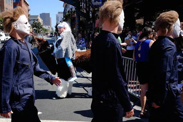 A group of Michael Myer costumed attendees, from the movie “Halloween”, pass by Karl Zingheim in his “White Walker” costume complete with undead horse, from the show “Game of Thrones”, during the 45th annual San Diego Comic-Con on July 24, 2014 in San Diego, California. An estimated 130,000 attendees are expected at this year's convention, which will celebrate the 75th anniversary of both Marvel Comics and the first Batman comic book. (Photo by T. J. Kirkpatrick/Getty Images)