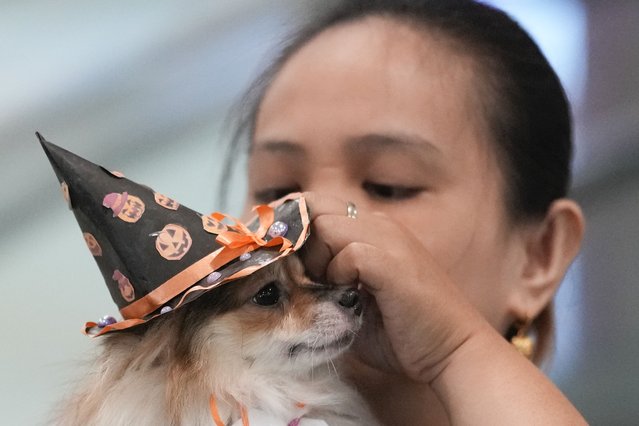 A pet owner fixes the costume of her dog during a Halloween pet party at a mall in Valenzuela city, Philippines on Saturday, October 19, 2024. (Photo by Aaron Favila/AP Photo)