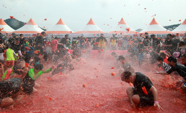 People enjoy a tomato fight during a local tomato festival in Hoengseong County, South Korea, 15 August 2022. (Photo by Yonhap/EPA/EFE)