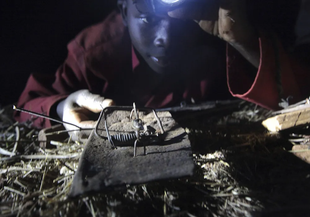 Young Zimbabwean Mice Hunters