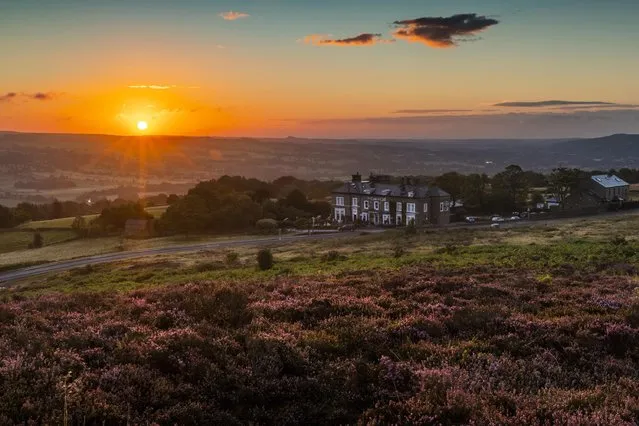 The rising sun illuminates the purple heather in front of the the Cow & Calf pub, located high on Ilkley Moor in West Yorkshire on August 20, 2022. (Photo by Andrew McCaren/London News Pictures)