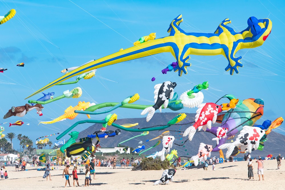 Pictures of the Year 2023, Part 208/224