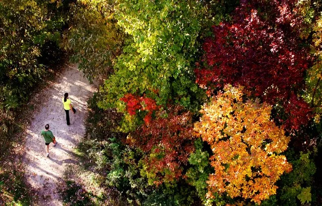 Two joggers make their way down one of the hiking trails amongst the changing colors on the tree tops at Pike Lake in Hartford, Wisconsin, on September 26, 2012. (Photo by John Ehlke/West Bend Daily News)