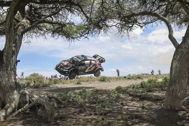 Toyota Gazoo Racing WRT's British driver Elfyn Evans steers his Toyota GR Yaris Rally1 with British co-driver Scott Martin over a jump at Miti-Mbili during the during the World Rally Championship (WRC) Safari Rally Kenya Special Stage 6, in Naivasha on March 21, 2025. (Photo by Tony Karumba/AFP Photo)
