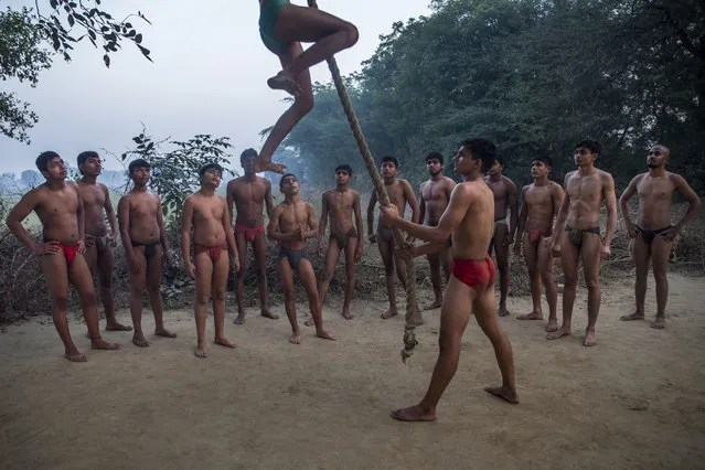 In this November 22, 2017 photo, Indian Kushti wrestlers wait for their turn to practice rope climbing, during their daily training, at an akhada, a kind of wrestling hostel at Bahadurgarh, in Haryana, India. (Photo by Dar Yasin/AP Photo)