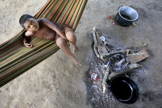 A Colombian Nukak Maku Indian boy rests in a hammock in a refugee camp at Agua Bonita near San Jose del Guaviare of Guaviare province, September 3, 2015. (Photo by John Vizcaino/Reuters)