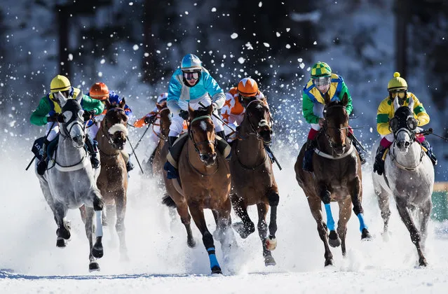 Guyon Maxime riding Take a Guess (centre) leads the pack in the GP Longines flat race during the White Turf Horse Racing on February 19, 2017 in St Moritz, Switzerland. (Photo by Julian Finney/Getty Images)
