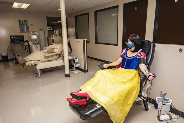 Cosplayer Leah Panos as Snow White donates blood at San Diego Blood Bank on July 25, 2020 in San Diego, California. With the cancellation of 2020 Comic-Con International due to the coronavirus pandemic, the San Diego Blood Bank moved their 44th Annual Comic-Con's Robert A. Heinlein Blood Drive to encompass all of their locations and mobile units. (Photo by Daniel Knighton/Getty Images)