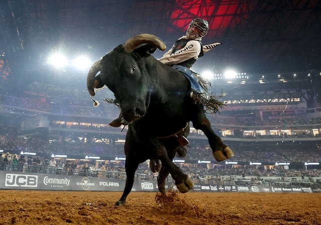 Jeff Askey, riding County Jail, competes in the bull riding event during The American Rodeo by Teton Ridge at Globe Life Field on March 09, 2024 in Arlington, Texas. (Photo by Al Bello/Getty Images for Teton Ridge)