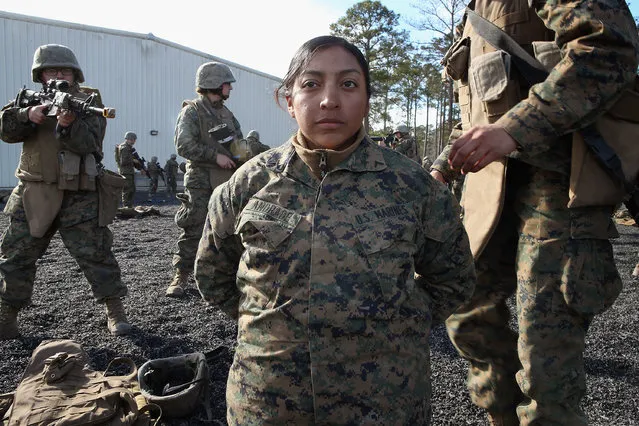 Pvt. Toni Rodriguez (L) of Naugatuc, Connecticut, Roxsana Andrade (C) of Fairfax, Virginia and Pfc. Cristiana Alvarez from Milwaukee, Wisconsin work on search procedures during Marine Combat Training (MCT) on February 20, 2013 at Camp Lejeune, North Carolina.  Since 1988 all non-infantry enlisted male Marines have been required to complete 29 days of basic combat skills training at MCT after graduating from boot camp. MCT has been required for all enlisted female Marines since 1997. About six percent of enlisted Marines are female.  (Photo by Scott Olson)