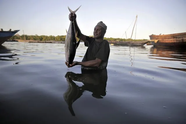 Fisherman Kassim Abdalla Zingizi holds a yellowfin tuna after a catch in Vanga, Kenya, on June 14, 2022. Indian Ocean countries who want better safeguards for marine life by updating fishing quotas and restricting harmful catch methods are being resisted by the European Union who has interests in the region, conservation groups say. Officials are gathering in Mombasa, Kenya on Friday Feb. 3 for a meeting of the Indian Ocean Tuna Commission – a group of 30 countries that decide regulations and management of tuna in the ocean. (Photo by Brian Inganga/AP Photo)