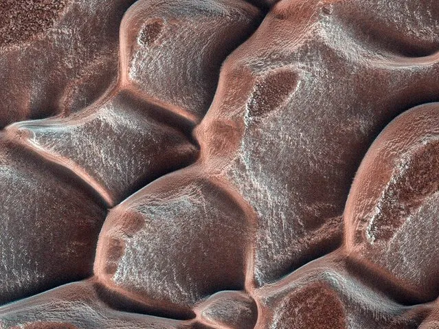 Martian sand dunes in a honeycomb pattern are covered with carbon dioxide frost in this picture from NASA's Mars Reconnaissance Orbiter. The image was acquired on Sept. 14, 2011, and made public on March 20, 2013. (Photo by NASA/JPL/University of Arizona)