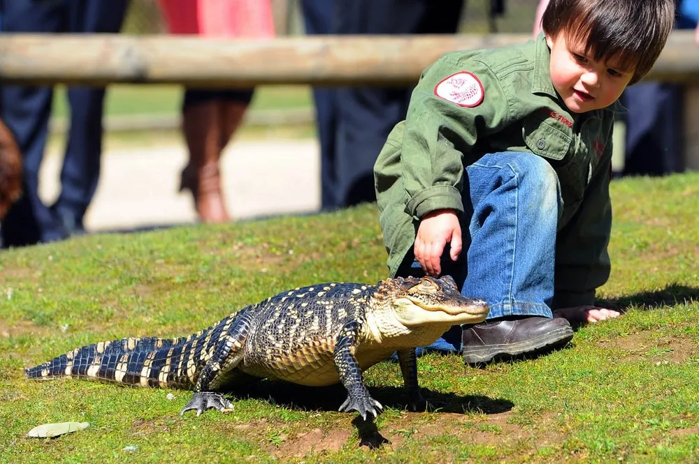3year Old Wildlife Ranger Charlie Parker