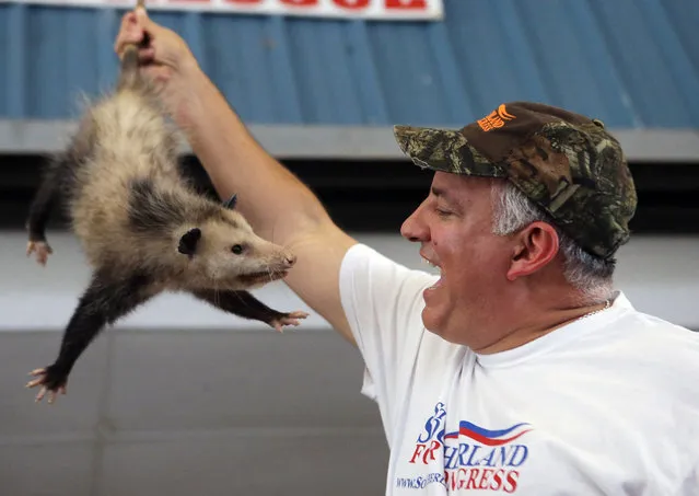 U.S. Rep Steve Southerland grins after winning an auctioned possum during the Wausau Possum Festival on Saturday, August 2, 2014, in Wausau, Fla. What is usually a must-attend event for statewide candidates was notably lacking of them this year, perhaps because candidates who now raise tens of millions of dollars focus more on television ads than making personal contact. (Photo by Heather Leiphart/AP Photo/The News Herald)