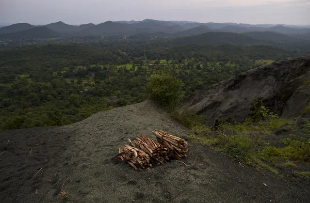 In this September 12, 2014 photo, bundles of wood collected and left behind on top of Roro hills sit on loose asbestos to be rolled downhill at the end of the day in Roro, India. (Photo by Saurabh Das/AP Photo)