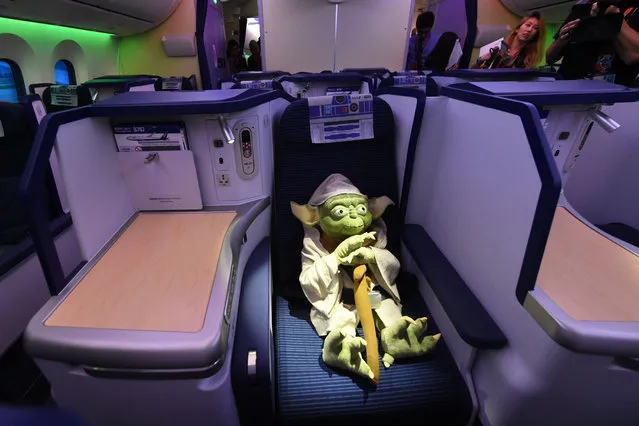 Yoda, the popular Jedi Master from the Star Wars film universe, is seen on board an All Nippon Airways (ANA) Boeing 787 aircraft, painted in special livery of Star Wars character R2-D2, during its stopover to the Changi International airport in Singapore on November 12, 2015. (Photo by Roslan Rahman/AFP Photo)