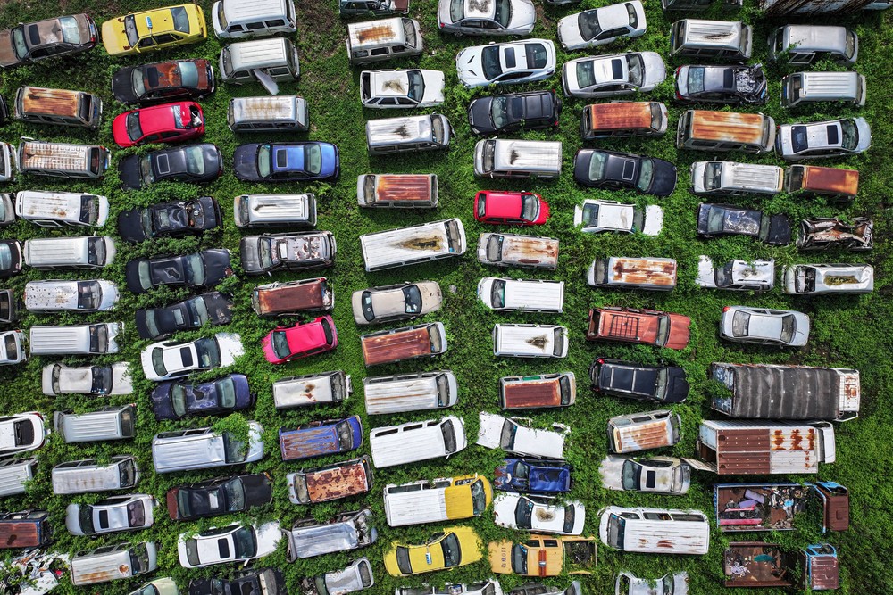 Pictures of the Year 2024, Part 155/240