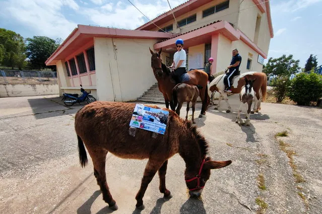 Citizens arrive with their horses to vote during the general elections at a polling station in Nafplio, Greece, 21 May 2023. Greek voters will go to the polls on 21 May 2023 to cast their ballots in the Greek general elections. About 9.8 million voters are registered in the electoral rolls, of which almost 400,000 new voters have the right to vote for the first time. The Greeks who live abroad and are registered in the special foreign electoral rolls exercised their right to vote on 20 May, in the electoral divisions set up in 35 countries. (Photo by Bougiotis Evangelos/EPA)