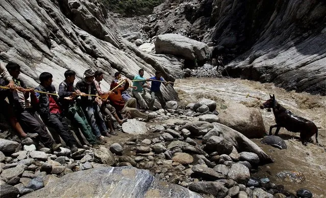 A pony is rescued from the Mandakini River at Gauri Kund, in the northern Indian state of Uttarakhand, on June 21, 2013. Heavy rains caused by the annual monsoon have left more than 500 people dead and stranded tens of thousands, mostly pilgrims, in India’s northern mountainous region, officials said Friday. (Photo by Associated Press)