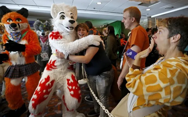 A spectator gets a hug from an attendee wearing a "fursuit" costume during a parade at the Midwest FurFest in the Chicago suburb of Rosemont, Illinois, United States, December 5, 2015. (Photo by Jim Young/Reuters)