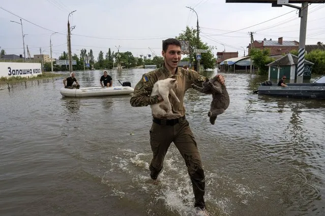 A volunteer evacuates cats from a flooded neighborhood in Kherson, Ukraine, Wednesday, June 7, 2023. Floodwaters from a collapsed dam kept rising in southern Ukraine on Wednesday, forcing hundreds of people to flee their homes in a major emergency operation that brought a dramatic new dimension to the war with Russia, now in its 16th month. (Photo by Evgeniy Maloletka/AP Photo)