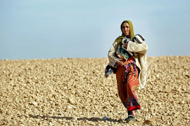 A Syrian woman carries a child while on the way from areas controlled by jihadists of the Islamic State (IS) group, en route to safety in areas held by by Kurdish-Arab Syrian Democratic Forces (SDF) alliance, on November 9, 2016, near the village of Mazraat Khaled, some 40 km away from the Islamic State group's (IS) de-facto capital of Raqa. (Photo by Delil Souleiman/AFP Photo)