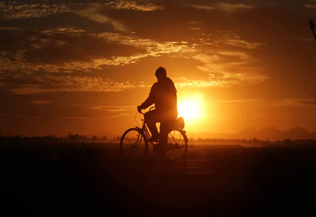 An Afghan man is silhouetted as he rides on a cycle, in Herat, Afghanistan, November 19, 2015. (Photo by Jalil Rezayee/EPA)