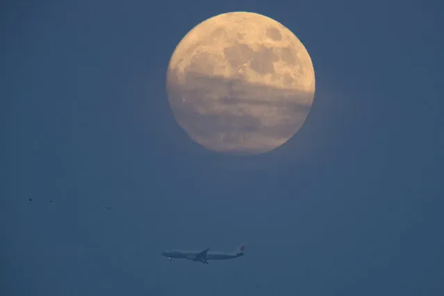A jet liner flies near the supermoon seen from Beijing, China, Tuesday, December 13, 2016. The supermoon phenomenon which occurs when the moon reaches a point closer than usual, shone brightly Tuesday night in Beijing, as the smog that often blankets China's capital city and most of the industrial north in winter subsided for the evening. (Photo by Ng Han Guan/AP Photo)