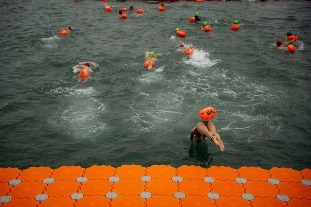 A Swimmer participating in the New World Harbour Race jumping into Victoria Harbour at the starting point on November 12, 2023 in Hong Kong, China. (Photo by Vernon Yuen/NurPhoto/Rex Features/Shutterstock)