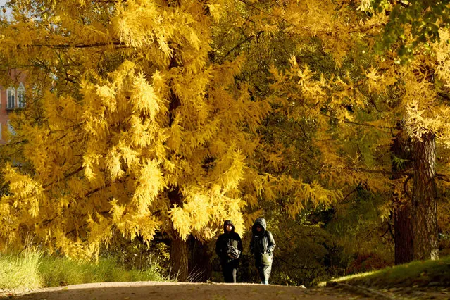 People enjoy an autumn day at a park in Tsarskoye Selo, the former summer residence of the tsars, on the outskirts of Saint Petersburg on October 20, 2023. (Photo by Olga Maltseva/AFP Photo)