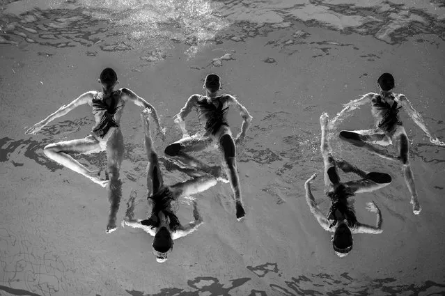 “Neptun Synchro”. Sports, third prize singles. Jonas Lindkvist, Sweden, Dagens Nyheter. Members of the Neptun Synchro synchronized swimming team perform during a Christmas show in Stockholm, Sweden, December 13, 2015. (Photo by Jonas Lindkvist/World Press Photo Contest)