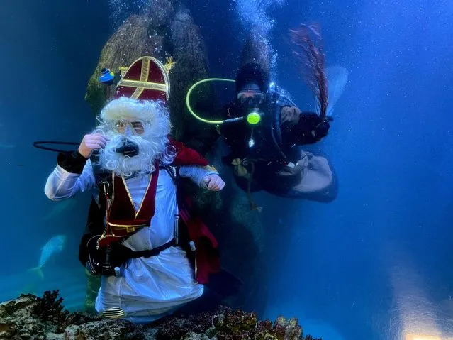 A diver dressed as Santa Claus and his helper “Knecht Ruprecht” pose inside a fish tank at the Sea Life aquarium in Munich, Germany on November 30, 2023. (Photo by Louisa Off/Reuters)