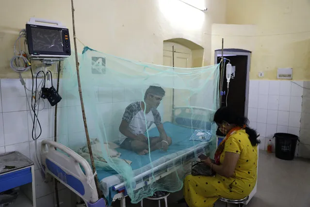 A dengue patient rests under a mosquito net at the dengue ward of a government hospital, in Prayagraj, India. Wednesday, September 15, 2021. (Photo by Rajesh Kumar Singh/AP Photo)