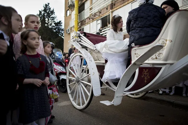 A Jewish bride arrives with family members during her wedding to the grandson of the Rabbi of the Tzanz Hasidic dynasty community, in Netanya, Israel, Tuesday, March 15, 2016. (Photo by Oded Balilty/AP Photo)
