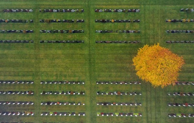 An aerial image of graves at the Commonwealth War Graves Commission's Brookwood Military Cemetery in Woking Surrey on Thursday, November 11, 2021. People across the UK will observe a two minute silence at 11 o'clock to remember the war dead. (Photo by Steve Parsons/PA Images via Getty Images)