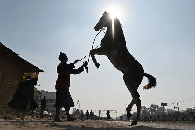 A Nihang Sikh warrior handles his horse as farmers prepare to leave the protest site at the Delhi-Haryana state border in Singhu on December 11, 2021, as Indian farmers formally ended year-long mass protests after Prime Minister Narendra Modi abandoned his push for agricultural reforms. (Photo by SSajjad Hussain/AFP Photo)