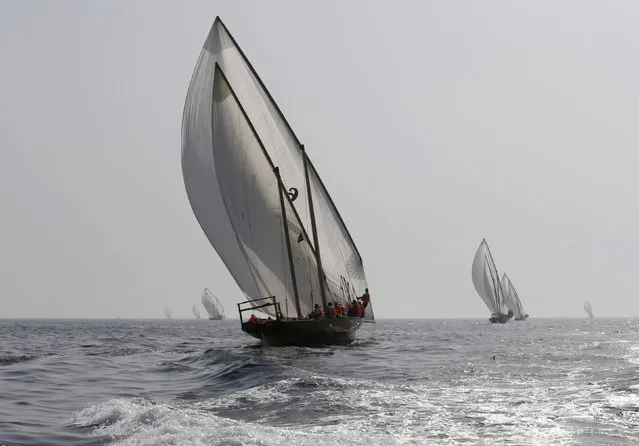 UAE sailors take the start of the Al Gaffal Dhow Race in Dubai, United Arab Emirates May 23, 2015. (Photo by Ahmed Jadallah/Reuters)