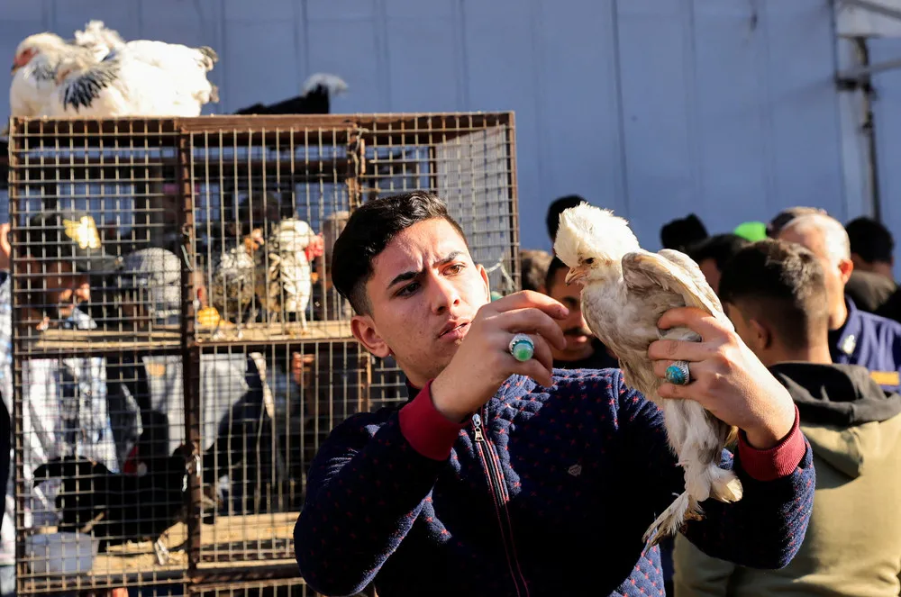 A Look at Life in Iraq