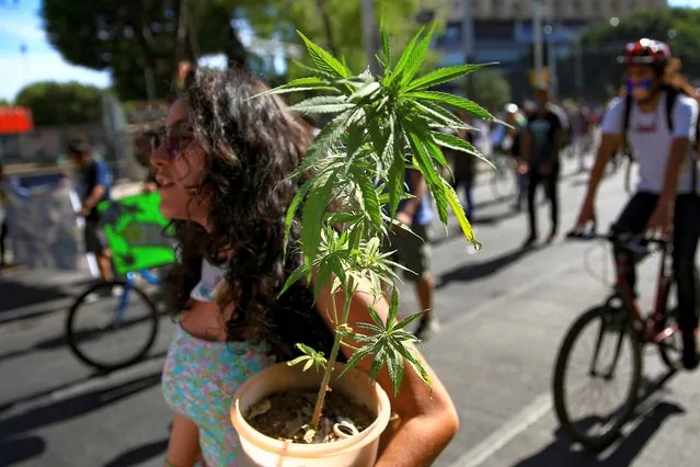 A woman carries a marijuana plant during a march for the full regularization of cannabis, in Mexico City, Mexico, 09 March 2021. Activists and cannabis consumers marched as the full chamber of the Lower House was scheduled to discuss a landmark bill to decriminalize marijuana, marking a first step in ending the war between drug cartels. (Photo by Carlos Ramirez/EPA/EFE)