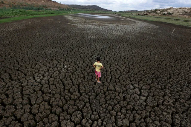 Natan Cabral, 5, stands on the cracked ground of the Boqueirao reservoir in the Metropolitan Region of Campina Grande, Paraiba state, Brazil, February 13, 2017. (Photo by Ueslei Marcelino/Reuters)