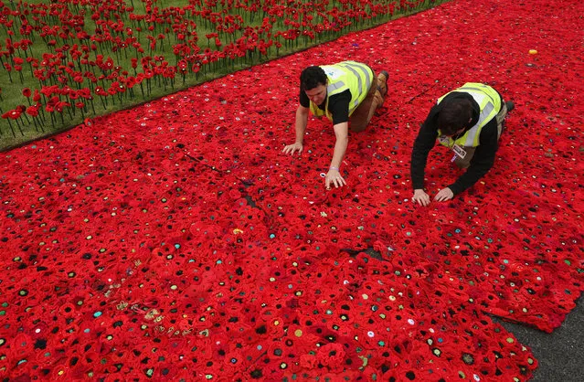 Poppies are installed in an installation at Royal Hospital Chelsea on May 20, 2016 in London, England. The installation comprises of a tribute of almost 300,000 handcrafted poppies created by landscape designer Phillip Johnson. The display is in honour of all servicemen and women who have fought across all wars, conflicts and peacekeeping operations over the last 100 years, and will be on display at the 2016 RHS Chelsea Flower Show from 24-28 May 2016. (Photo by Dan Kitwood/Getty Images)
