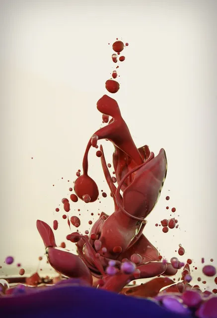 “Dropping” – Artist uses high-speed photography to capture the beauty of ink and oil. (Photo by Alberto Seveso)